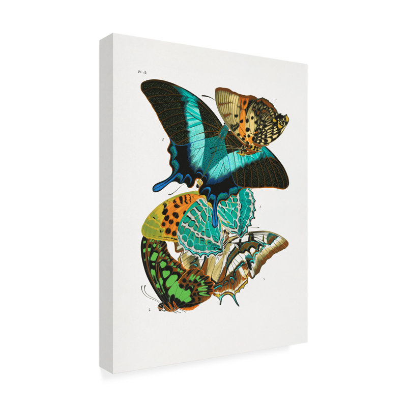 «Butterflies 5 on Canvas» par Pictufy, reproduction, H 19 po x l 14 po x P 2 po