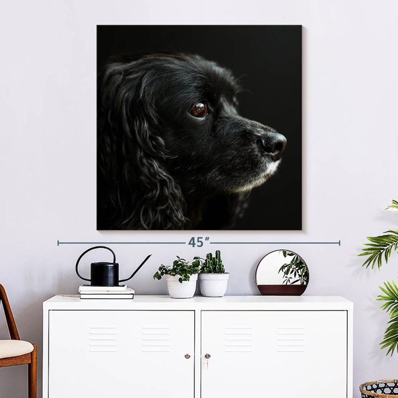 Crowle Cocker Spaniel Portrait, 33" H x 33" W