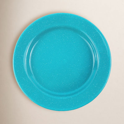 Crow Canyon Enamelware Stinson Dinner Plate