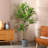 Adcock Artificial Dracaena Tree in Plastic Pot for Indoor/Outdoor Use-1187763798