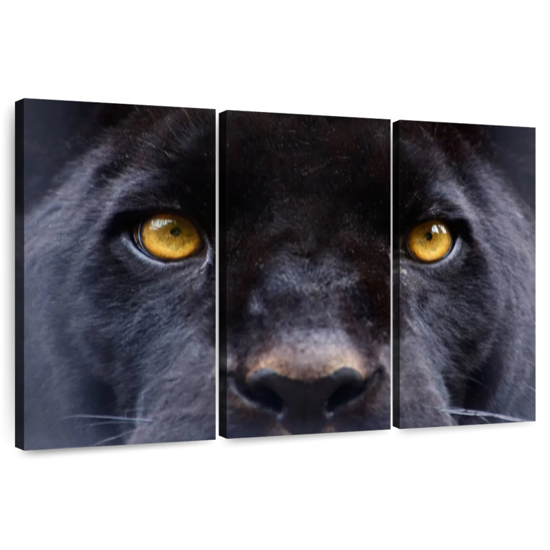 Panther Eyes, 42" H x 65" W