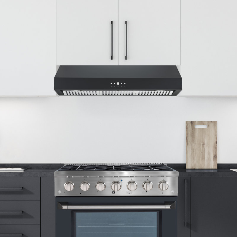 Ancona Stainless Steel 440 CFM Ducted (Vented) Under Cabinet Range Hood with Mesh Filter, Black