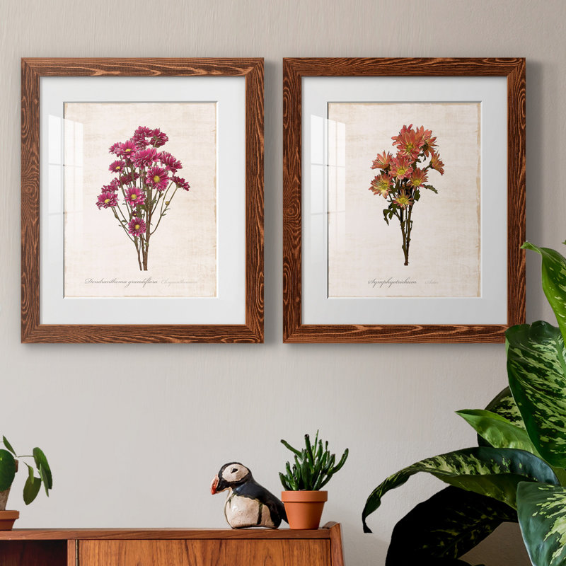 " Sketchbook Chrysanthemum " 2 - Pieces, 20" H x 17" W x 1" D, Maple Framed Paper, White