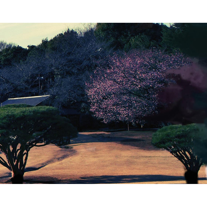 No Frame Print