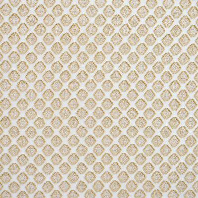 Terranova Gold