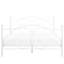 Lynx Metal Bed-41986605-41986606