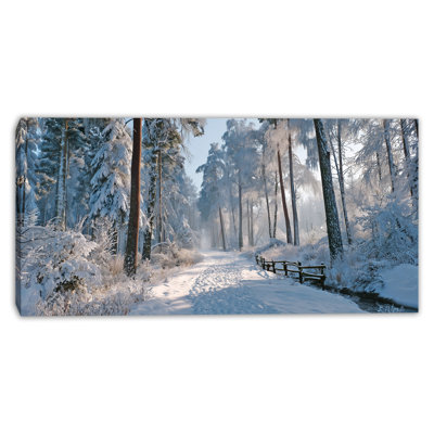 «Alpine Pines in Winter Mist», art mural sur toile tendue