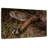 Diamondback Rattlesnake-797759869