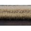 Tapis doré / ivoire Attell-22281097