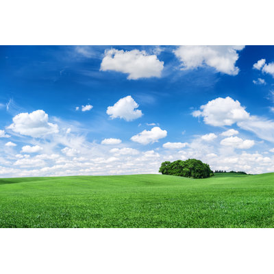 Panoramic spring landscape