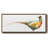 Harvest Pheasant- Framed Canvas