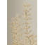 Pedrillo Chandelier-803570544