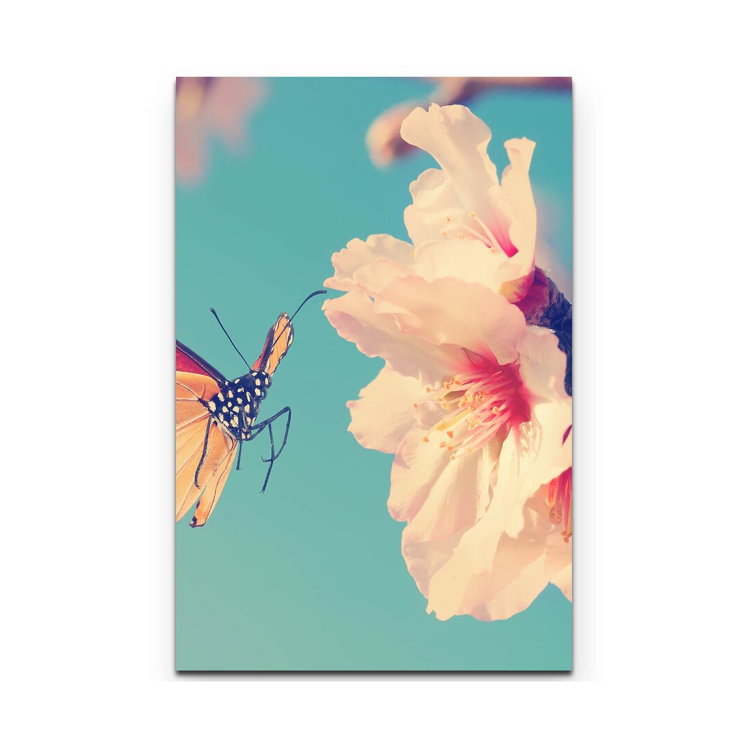 Leinwandbild Schmetterling an einer Blume