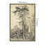 «Fir Trees c1833» par John Constable, art mural sur toile-653978759
