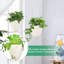 Pot de fleurs suspendu en plastique-1881866770