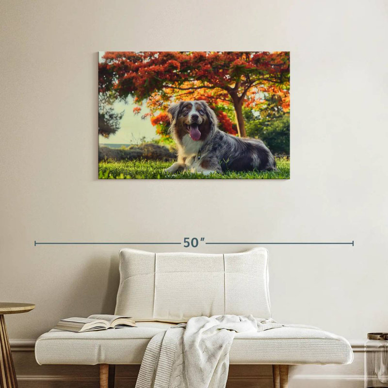 Cherry Border Collie, 24" H x 36" W