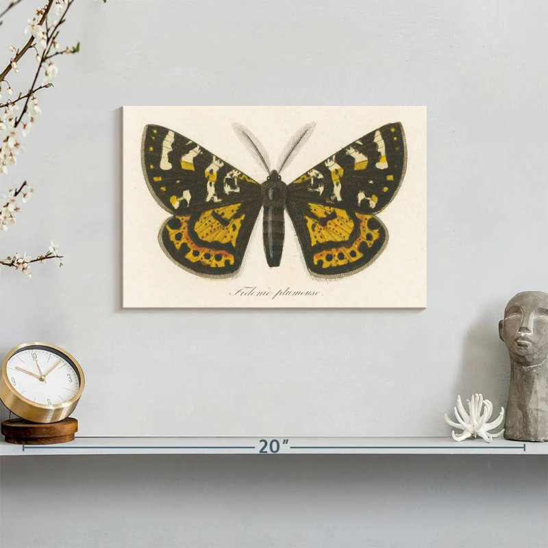 Brampt Natures Butterfly V, 8" H x 12" W