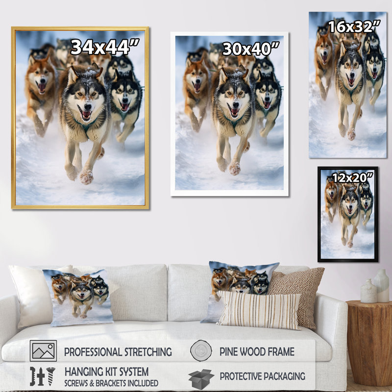 «Alaska Dog Sledding III», reproduction sur toile, H 20 po x l 12 po x P 1 po, Cadre flottant noir