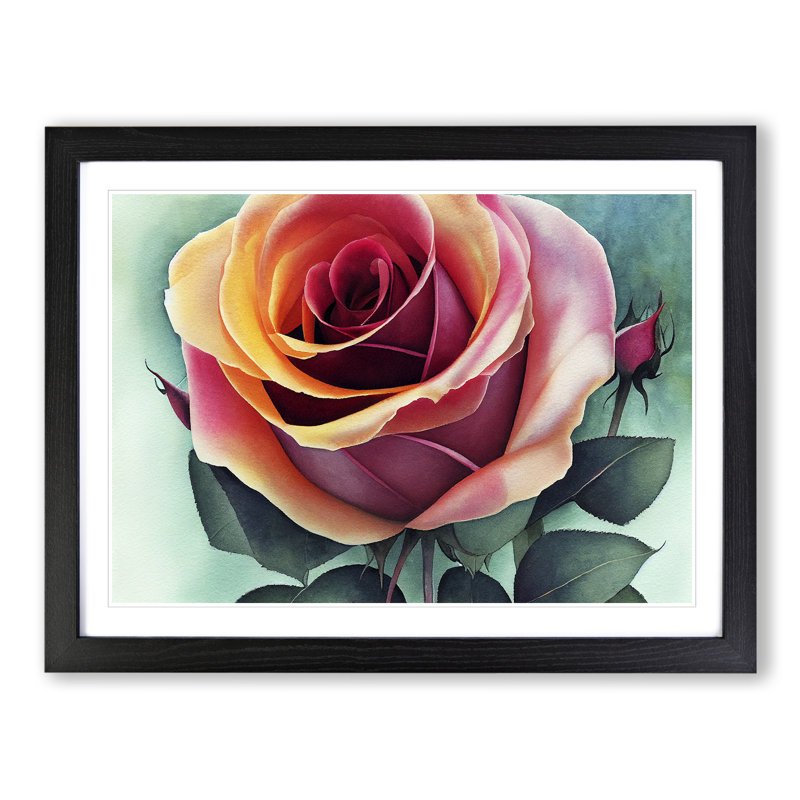 Magnificent Rose Flower - Single Picture Frame Painting, Black, 46cm H x 64cm W x 2cm D
