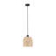 - Light Pendant