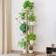 Plant Stand-1982208683