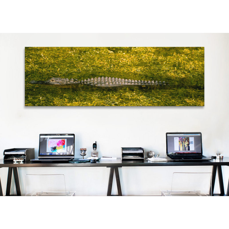 Alligator circulant dans un canal, H 20 po x l 60 po x P 1,5 po, Toile tendue