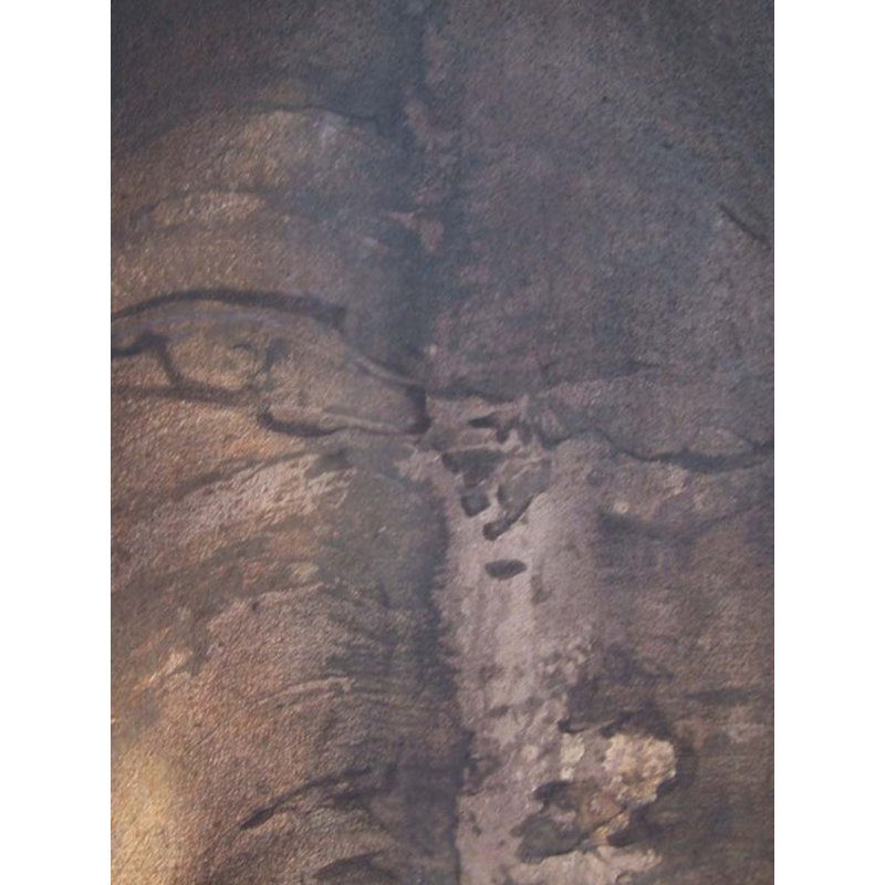 A Split Face - Peinture abstraite | Acrylique sur toile | Par Prasanna Musale