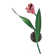 Tulip 1 - Light Wallchiere