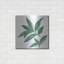 «Bay Leaf» par Chris Paschke-1901134385