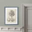 «Fresco Crown Imperial II» par Paul Cezanne - reproduction d'art-776869825-776869832