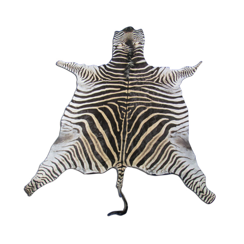 Foundry Select Real Zebra Skin Rug | Wayfair