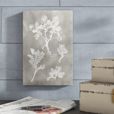 «Herbarium Study II» par Vision Studio, reproduction d'art sur toile