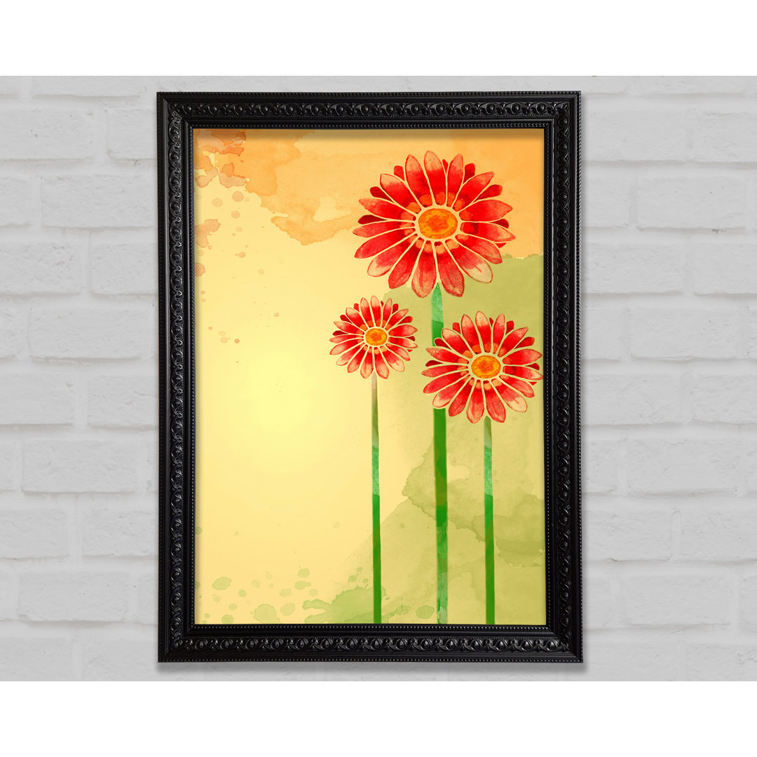 Trio Of Daisies - Einzelner Bilderrahmen Kunstdrucke