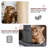 Lizzie Cat Tree Multi Level Play Tower Condo Cat Sisal Scratching Posts with Perches, Ramp and Brush-630395986-630386214