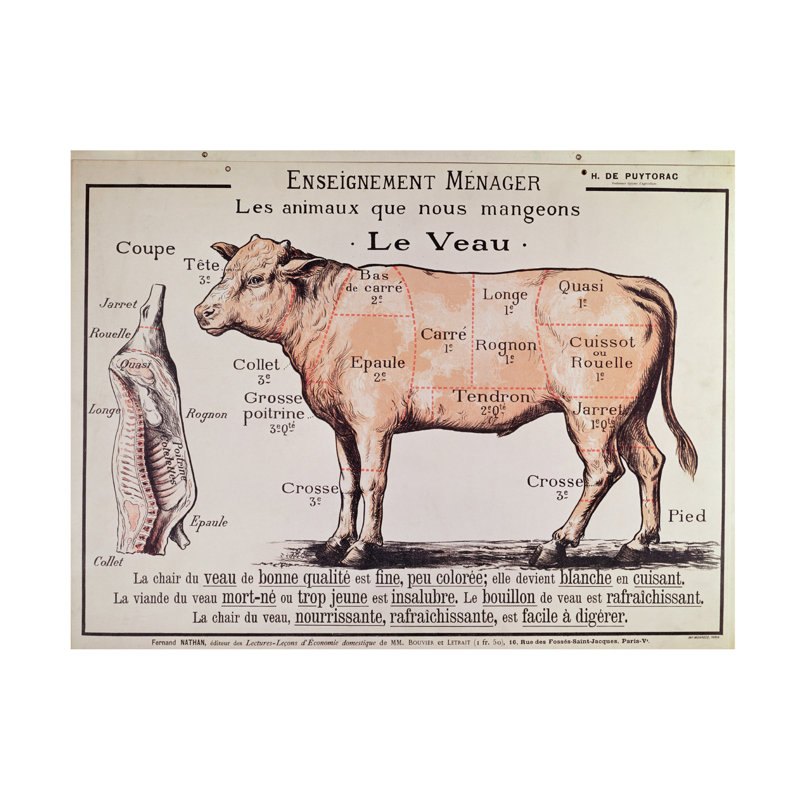 Art français sur toile de veau, école illustrant les différentes coupes de viande, H 14 po x l 19 po