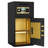 Multi Functional Safe-121048269
