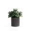 Faux Succulent Plant in Ceramic Planter