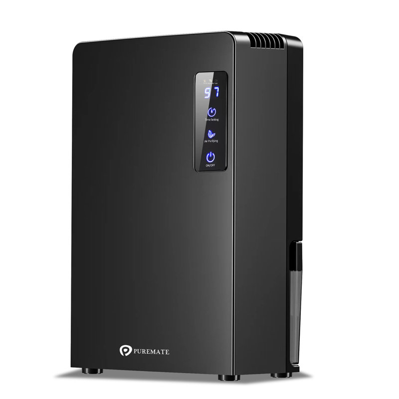 Dehumidifier with Air Purifier