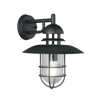 Leticia Black Outdoor Barn Light
