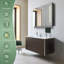 Daciano 100cm W 60cm H Surface Mount Mirror Cabinet 