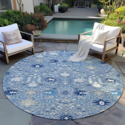 Chayden Indoor/Outdoor Chantille ACN1009 Area Rug