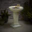 Birdbath Fountain with Lights