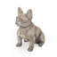 Statue de jardin bouledogue français Ohara-1091907836