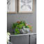 Pot à fleurs en résine Junhee