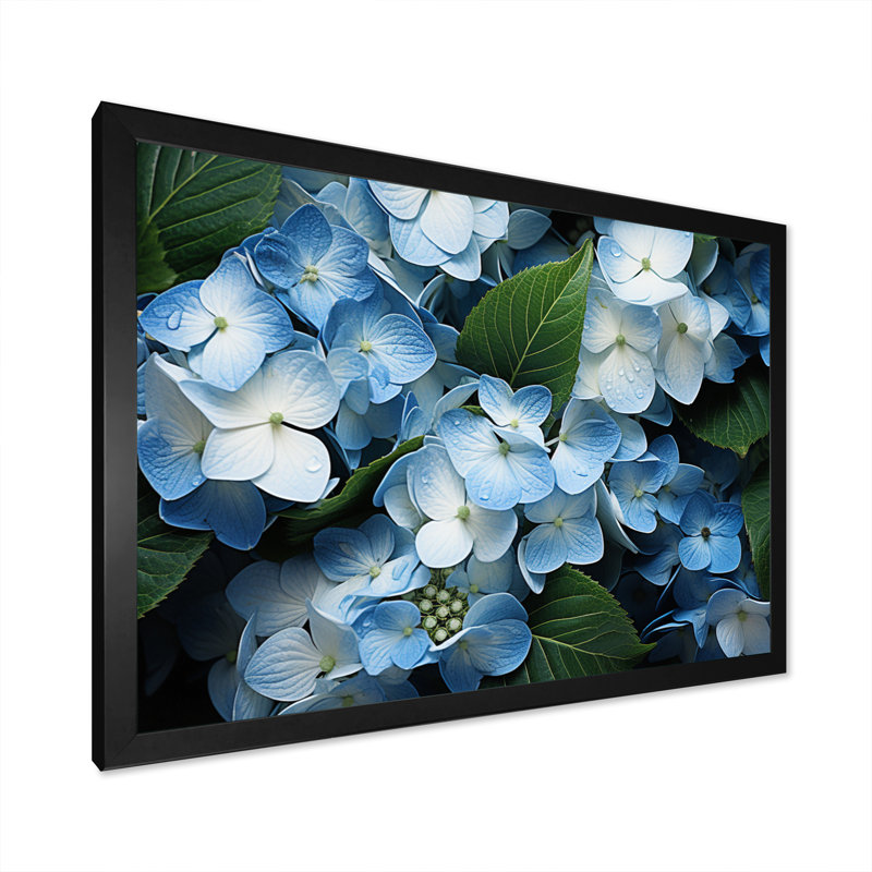 «Blue Hydrangea Field», vue aérienne sur toile, H 12 po x l 20 po x P 1 po, Cadre photo noir