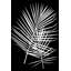Majesty Palm 1 Print-842042563-842042622