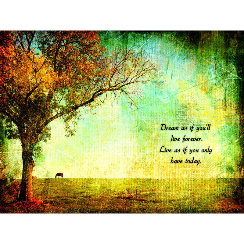 Dream Live Forever - Wrapped Canvas Print, 16" W x 12" H