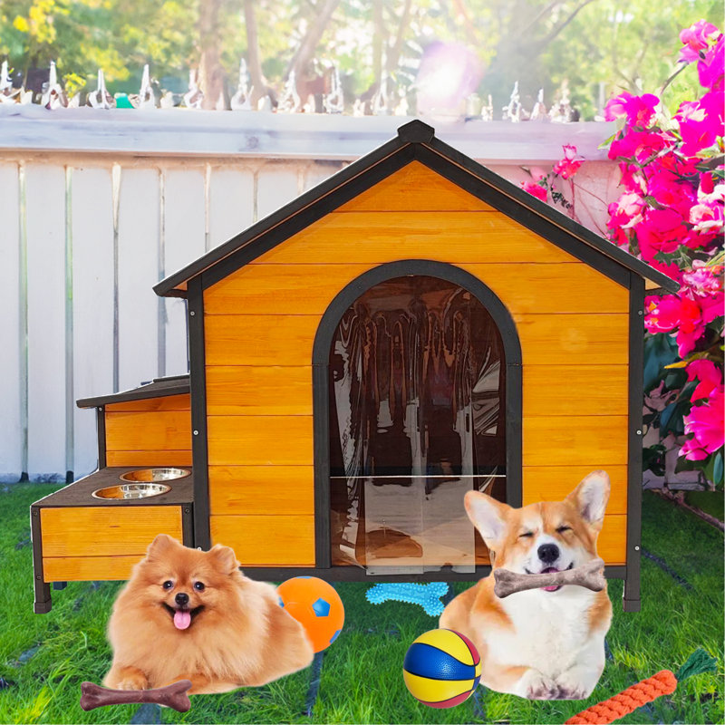Niche pour chien robuste et portable