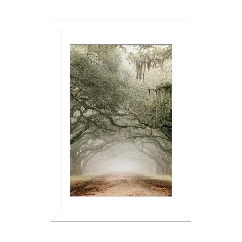 Plantation Drive, White Open Corner Frame Paper, 32" H x 24" W x 1" D
