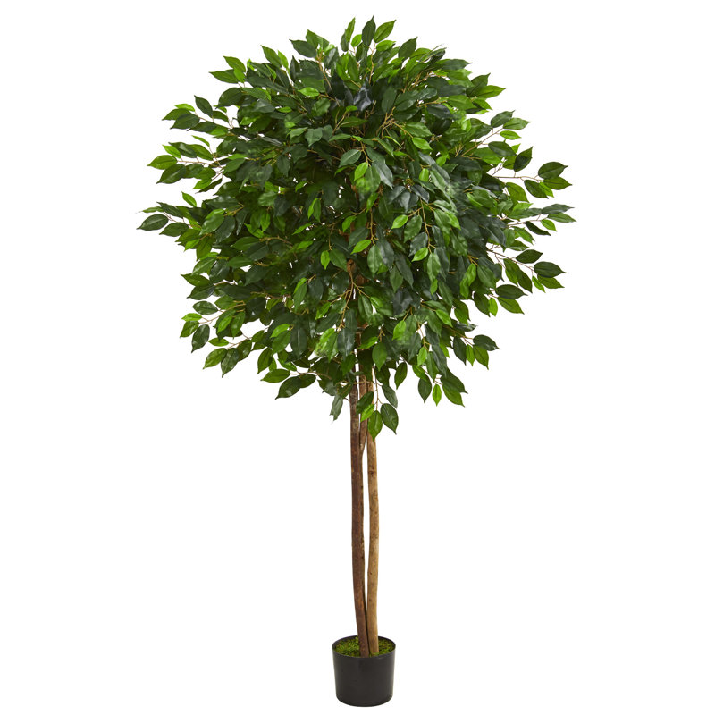 Arbre de ficus artificiel en pot de fleurs, H 78 po x l 12 po x P 12 po